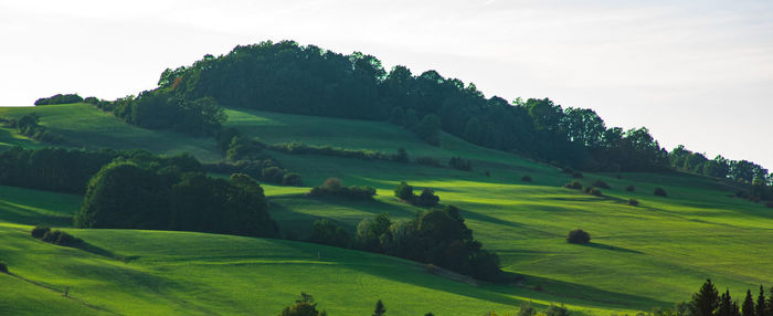 Scenic view of green landscape against sky