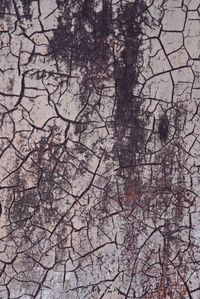 Low angle view of bare trees against sky