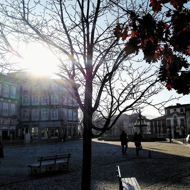 building exterior, architecture, built structure, tree, city, walking, city life, sunlight, branch, men, street, bare tree, sidewalk, street light, lifestyles, person, incidental people, sky, leisure activity