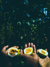 Cropped image of hand holding fruit