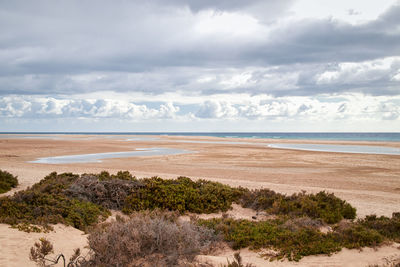 The lagoon of risco del paso on the canary island fuerteventura without people in cloudy sky