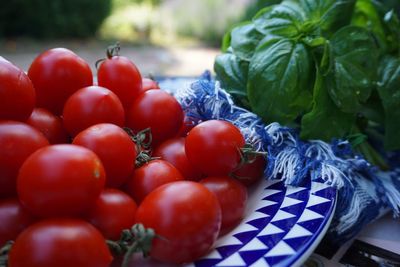 Close-up of tomatoes in market