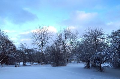 Scenic view of snow covered landscape