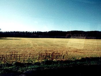 Scenic view of field against clear sky