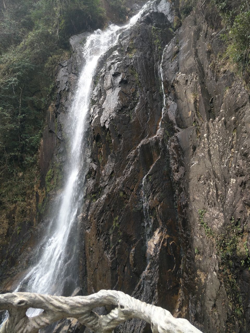 waterfall, scenics, nature, beauty in nature, water, rock - object, no people, outdoors, day, tranquil scene, mountain, tranquility, forest, power in nature, sky