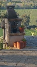 Potted plant on table by building in yard