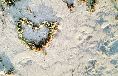 High angle view of sandy beach