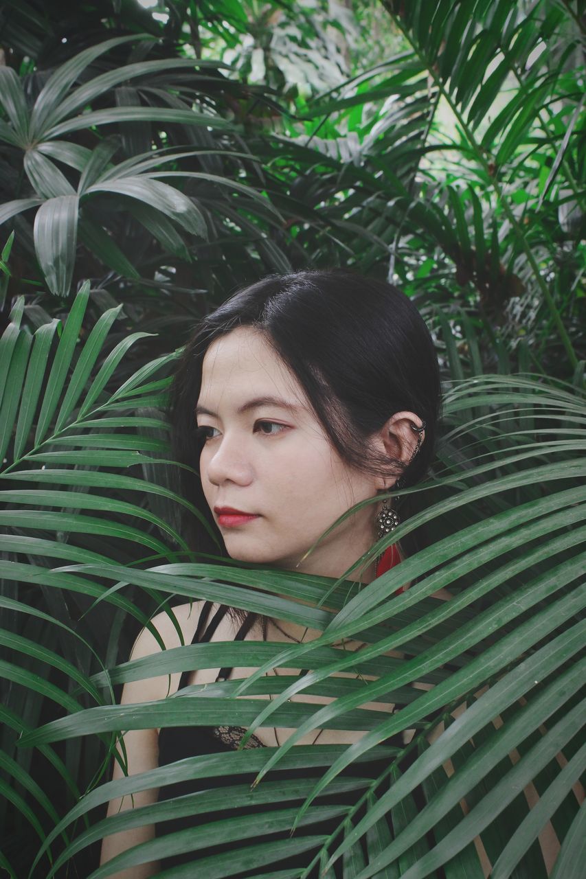 one person, plant, portrait, young adult, real people, headshot, green color, leaf, lifestyles, leisure activity, plant part, young women, growth, tree, looking, looking away, women, black hair, outdoors, beautiful woman, palm leaf, contemplation, hairstyle