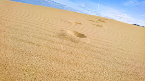 Scenic view of sand dunes at beach against sky