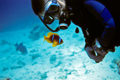 Man scuba diving by fish in sea