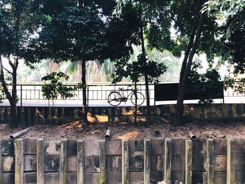 Plants growing by railing against trees