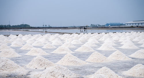 Landscape sea salt farm in thailand. brine salt. raw material of salt industrial. sodium chloride.