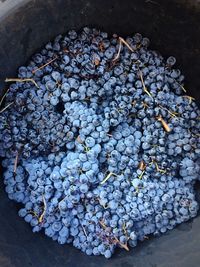 High angle view of blueberries in bowl