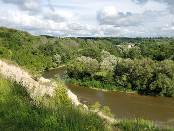 Scenic view of river amidst trees against sky