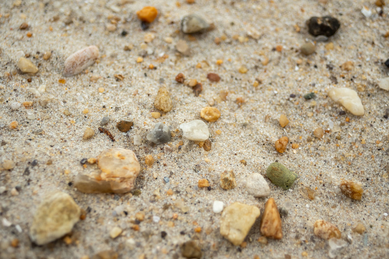 MACRO SHOT OF SMALL CRAB ON BEACH