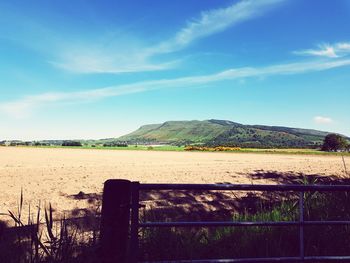 Scenic view of field against blue sky