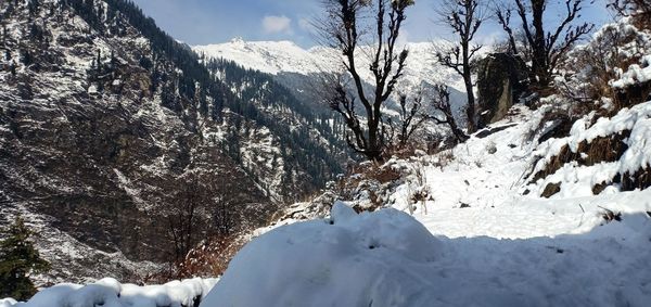 Always love this white colour. it gives peace to the inner soul.snow capped tree's on mountains.