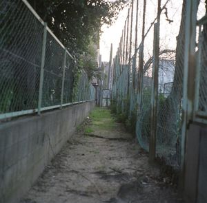 Footpath leading to building