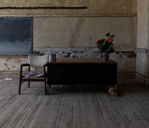 Potted plant on table at home