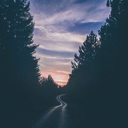 Silhouette trees by road against sky during sunset