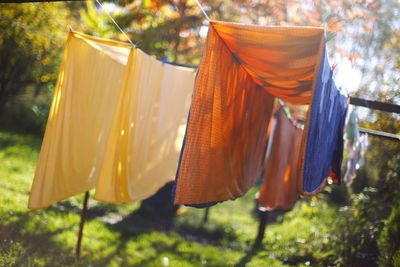 Close-up of clothes drying on clothesline
