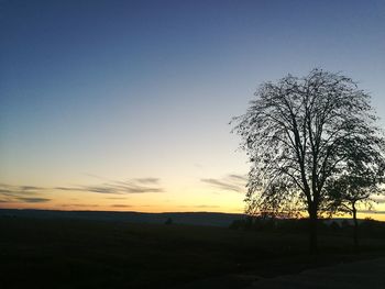 Silhouette trees on landscape at sunset