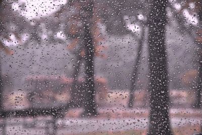 Full frame shot of raindrops on glass window
