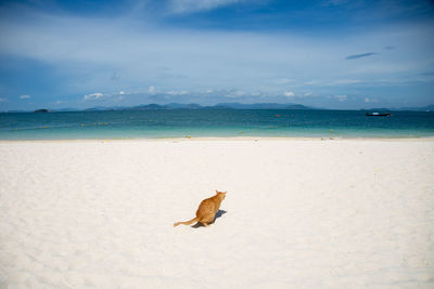 View of a beach