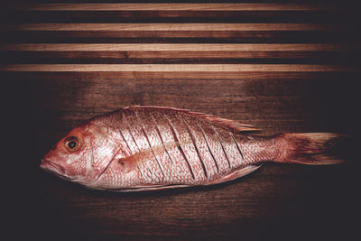 High angle view of fish on table