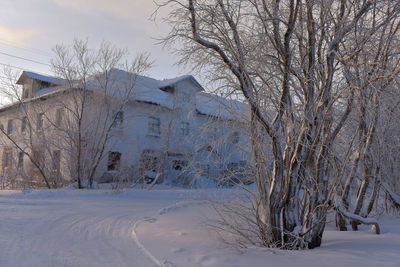 Snow covered bare tree and building against sky