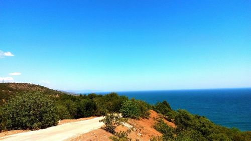 Scenic view of sea against clear blue sky