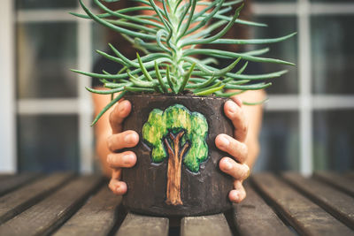 Close-up of hand holding potted plant