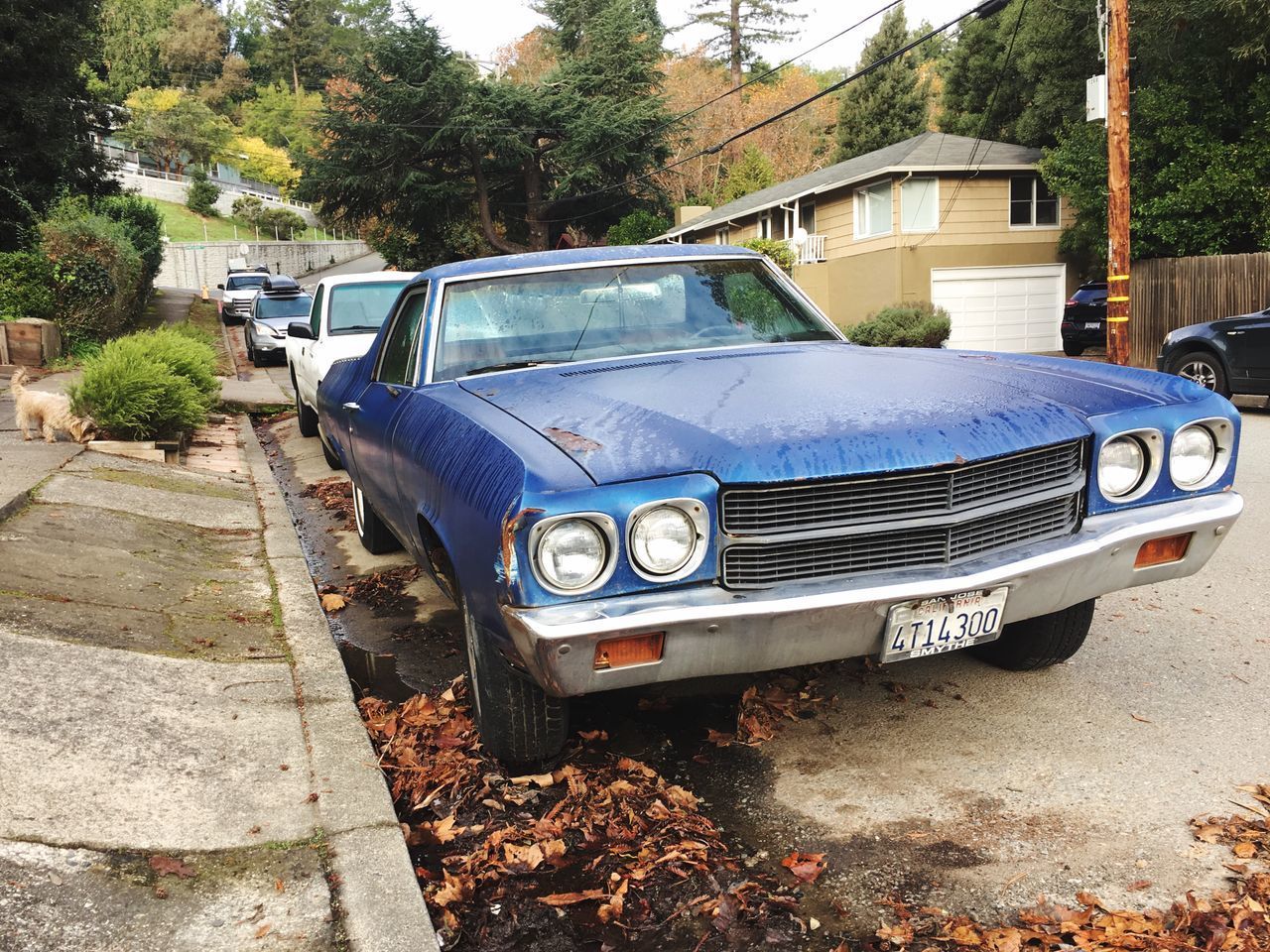 VIEW OF CAR ON CITY STREET