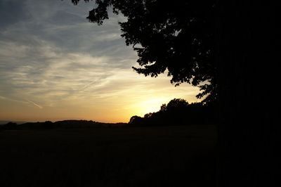 Silhouette trees on field against sky at sunset