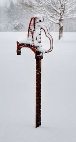 Close-up of icicles on snow covered land