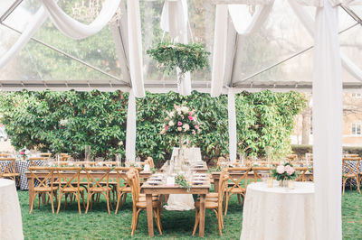 Potted plants on table in greenhouse