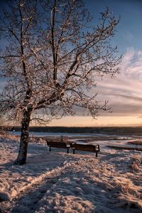 Scenic view of sea against sky during winter