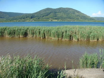 Scenic view of lake against clear sky