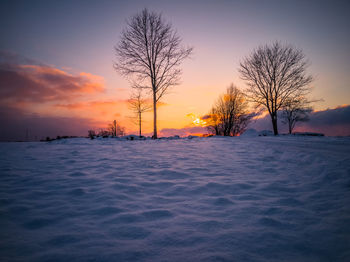 Silhouette bare trees on snow covered landscape during sunset