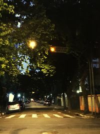 Road along trees at night