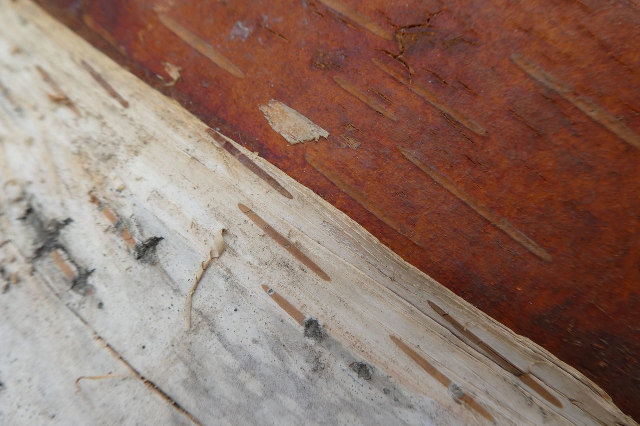 FULL FRAME SHOT OF WOODEN PLANKS