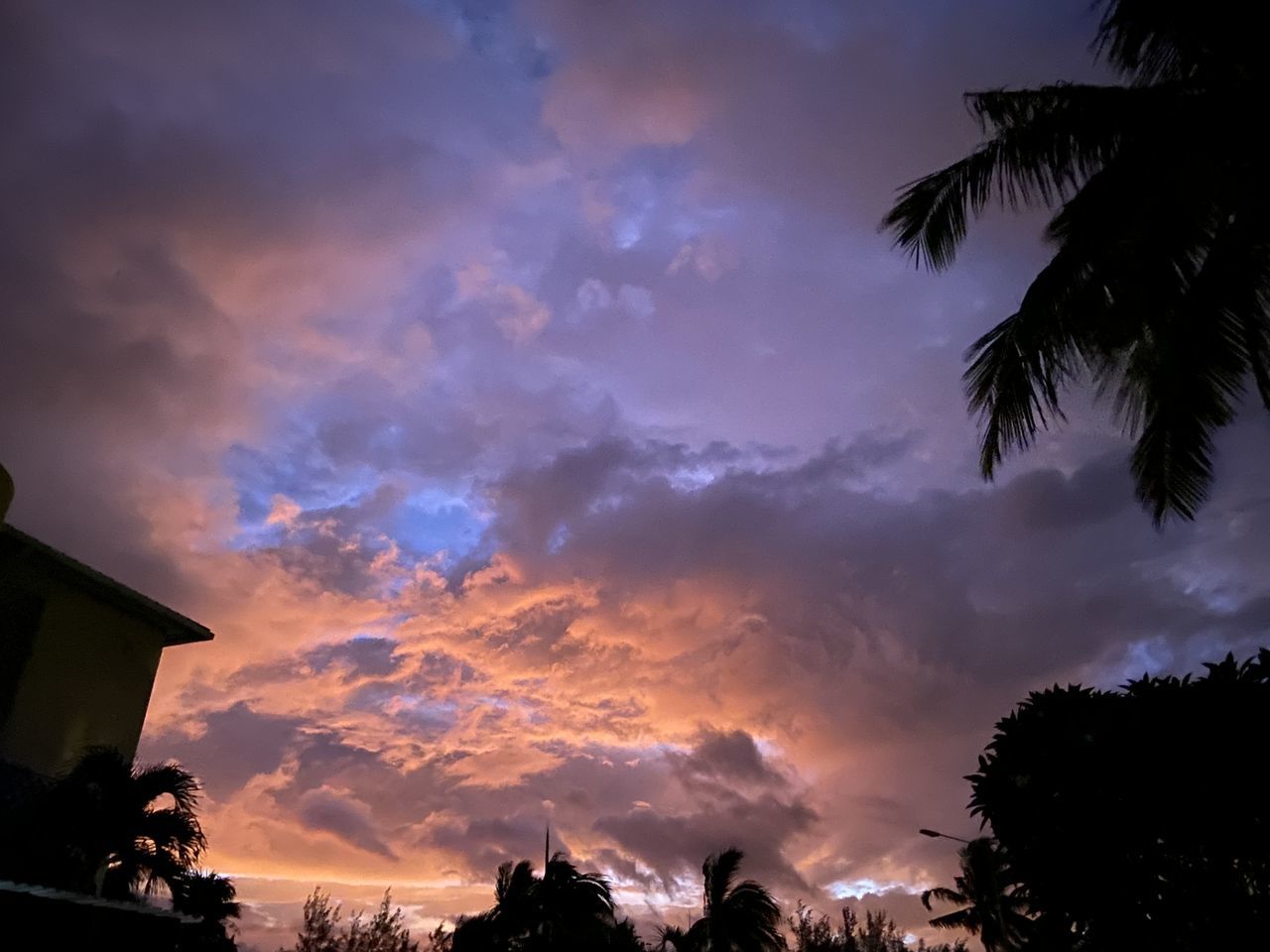sky, cloud, tree, sunset, dusk, evening, nature, silhouette, beauty in nature, plant, architecture, tropical climate, palm tree, building exterior, sunlight, dramatic sky, no people, scenics - nature, built structure, building, outdoors, darkness, house, low angle view, tranquility, cloudscape, afterglow, environment