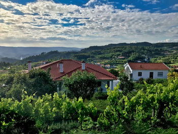 Houses by trees and buildings against sky