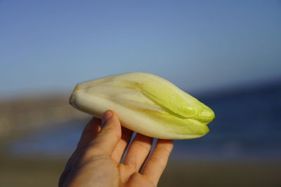 Close-up of hand holding apple against sky