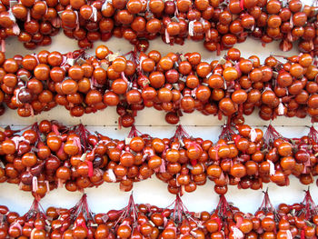 Close-up of tomatoes hanging against the sky
