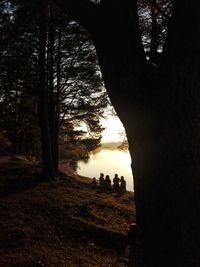 Silhouette people by trees in forest