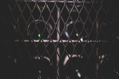 Full frame shot of bottles