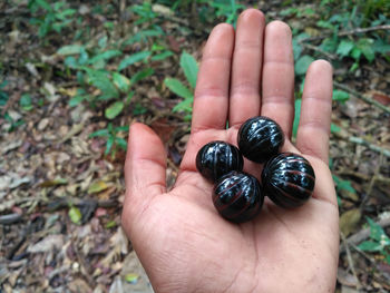 High angle view of human hand