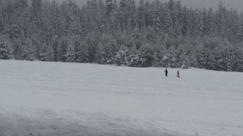 Scenic view of snow covered landscape