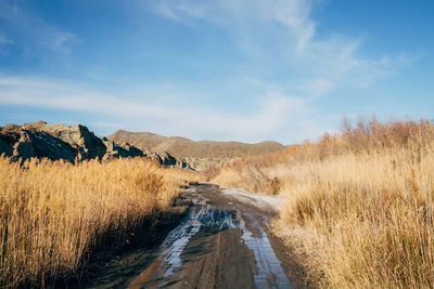 Panoramic view of road amidst field against sky